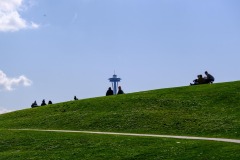 The Seattle Space needle seen above the grassy ridge of GasWorks Park Hill.