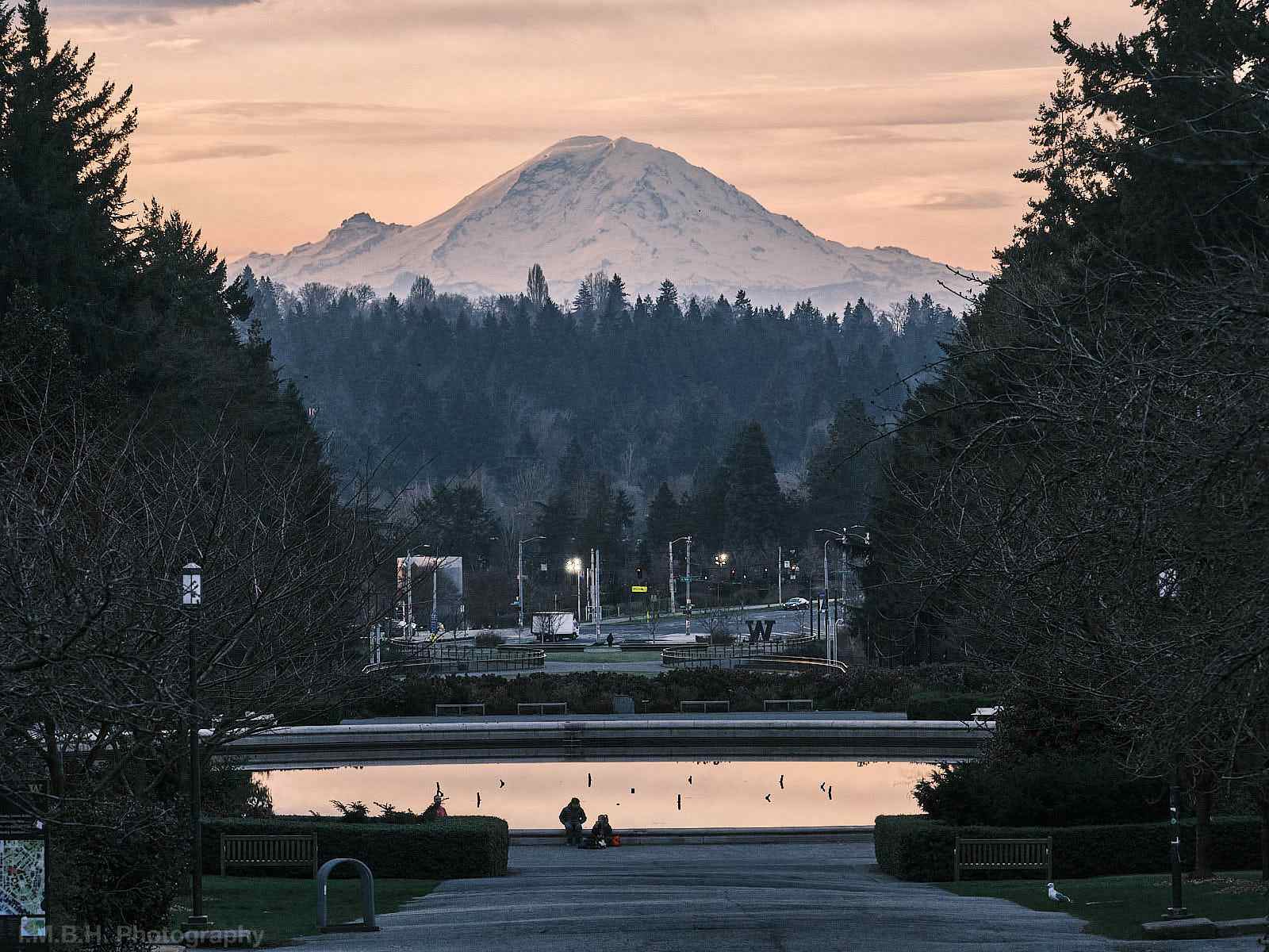 Mt Rainier seen down Rainier Vista over Drumheller Fountain on the University of Washington Campus Mt Rainier seen down Rainier Vista over Drumheller Fountain on the University of Washington Campus