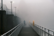 Out of the fog