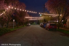 Strings of lights over an early morning street