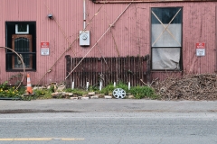 Still life en plein air