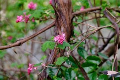 photographs-of-the-week-3.7-3-13-2022b-0296