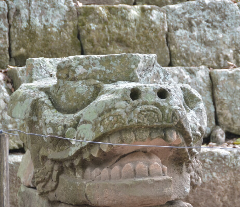 wpid-img_20140531_071004.jpg image