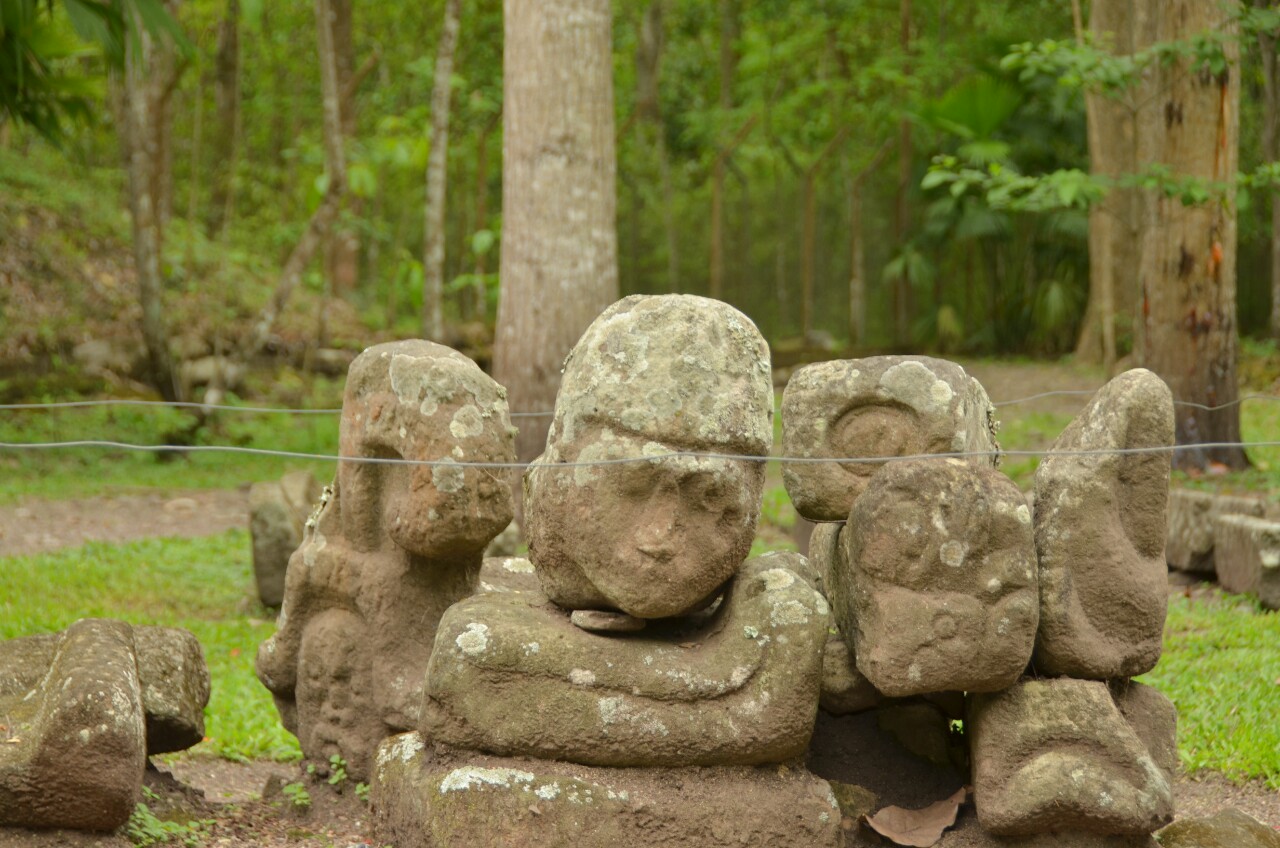 wpid-img_20140531_071042.jpg image