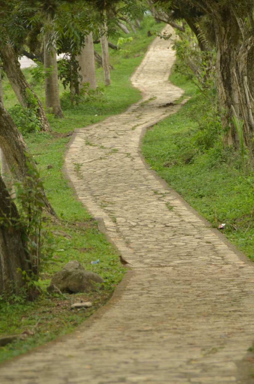 wpid-img_20140531_072149.jpg image