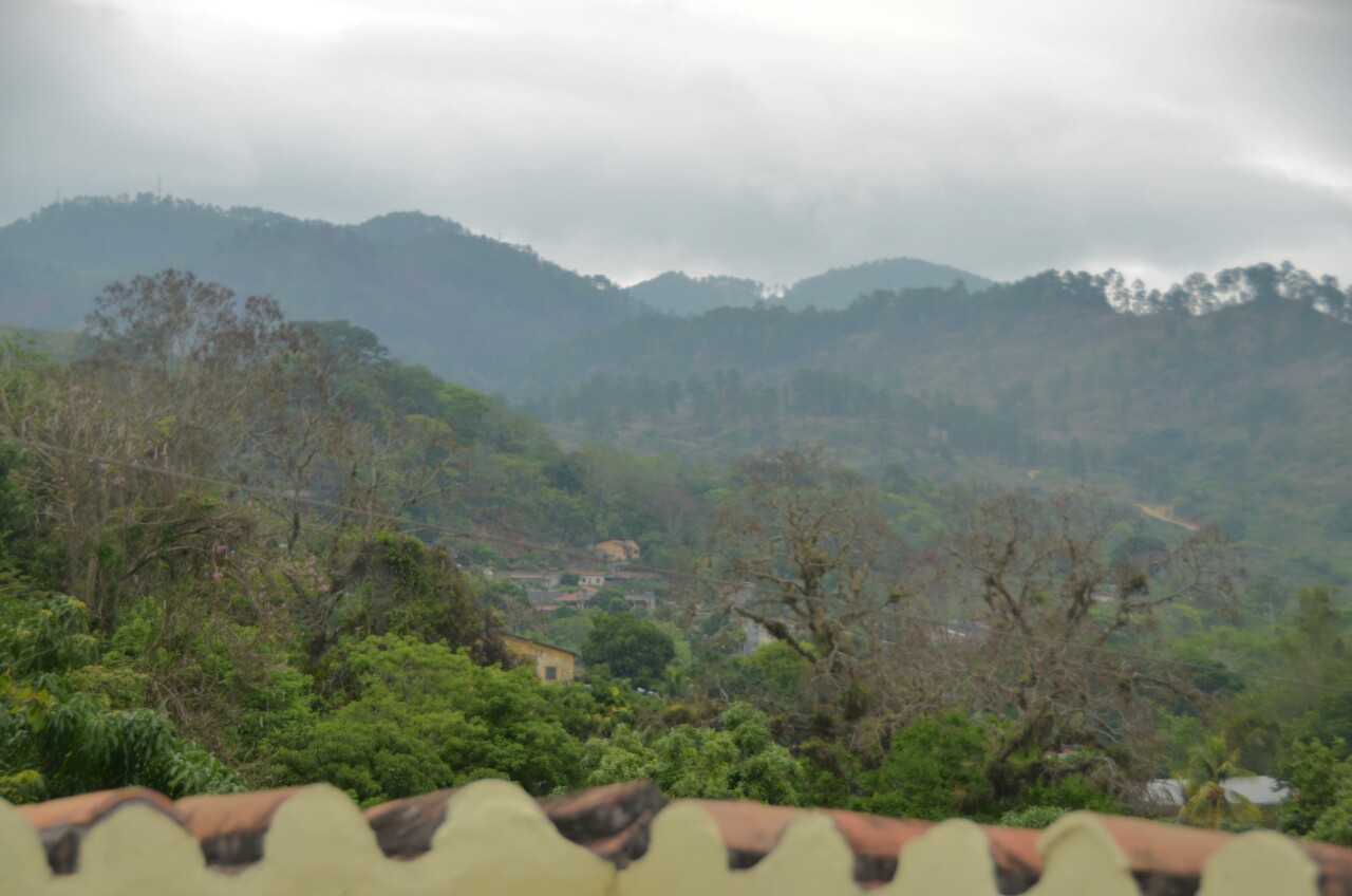 wpid-img_20140531_072759.jpg image