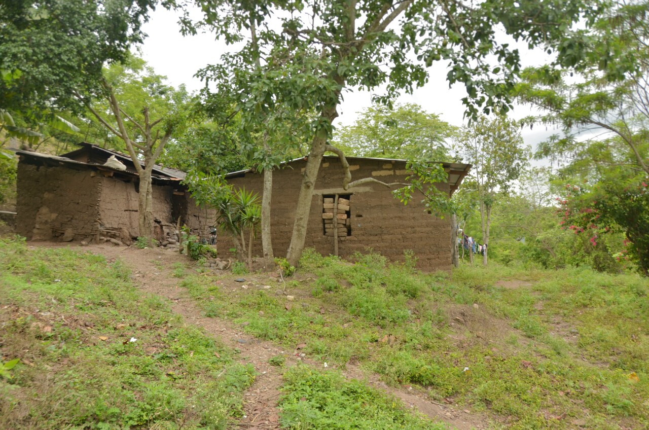 wpid-img_20140531_074009.jpg image