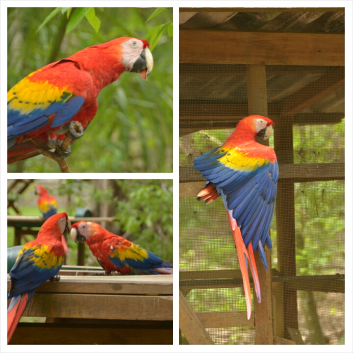 wpid-photogrid_1401890842279.jpg image