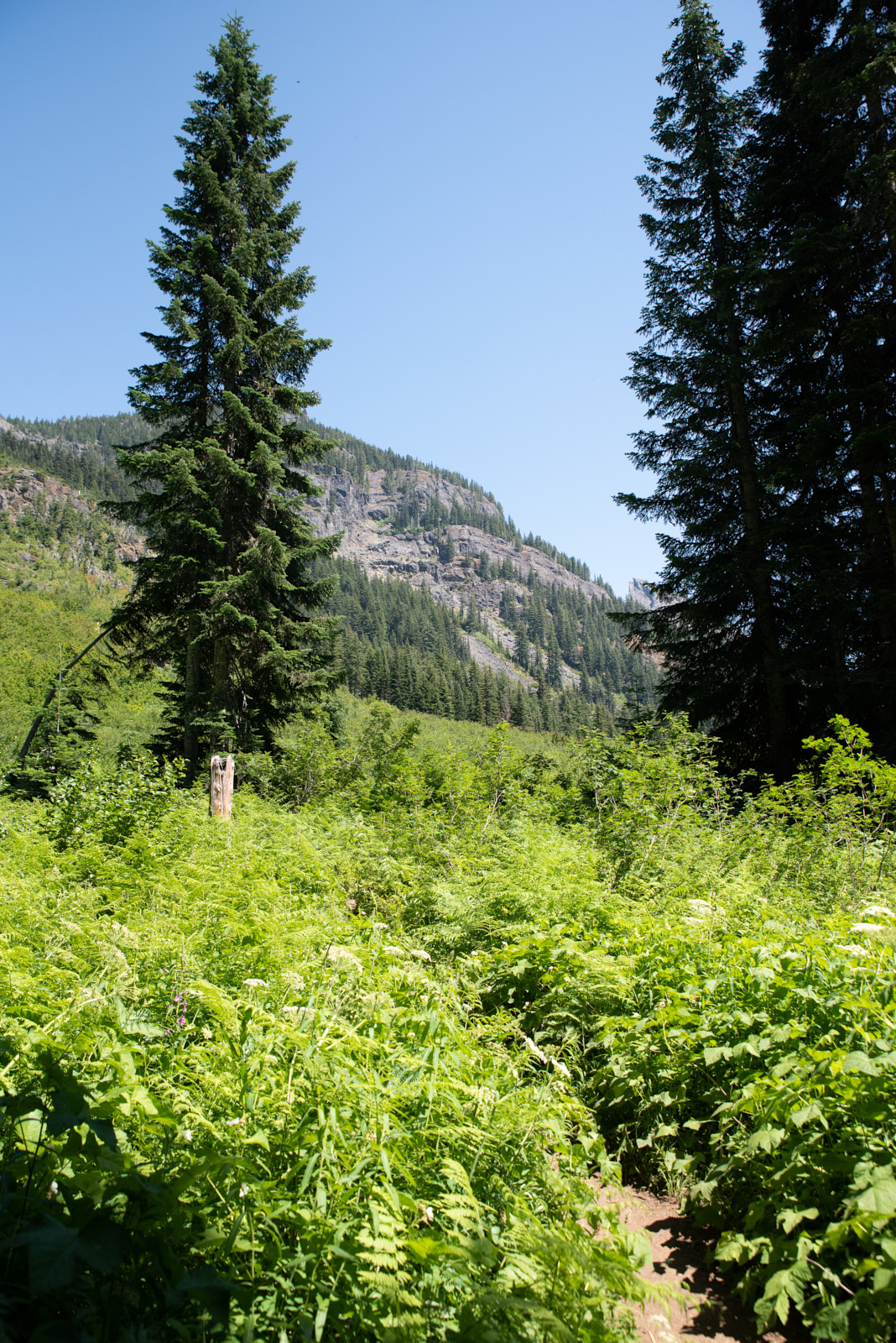 Rampart Lakes-2299