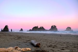 A pink sky behind sea stacks on a beach near the Pacific Ocean